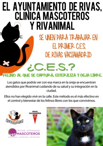 Cartel de la iniciativa CES para el control de gatos callejeros.  (Foto: cortesía protectora Rivanimal).