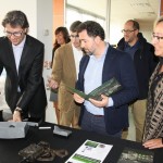 ANTICIMEX (1)