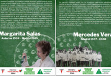 ‘Mercedes Vera’ y ‘Margarita Salas’, nombres elegidos para los futuros centros educativos