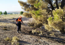 Protección Civil «refresca» las zonas de vegetación ante la continuidad de la ola de calor