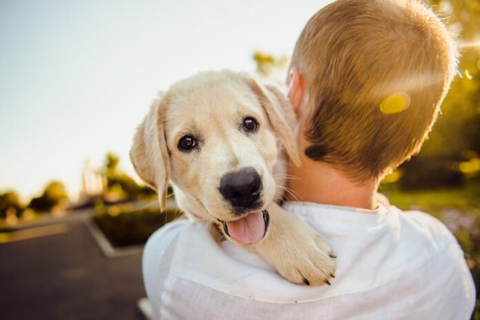 la-felicidad-que-trae-un-perro