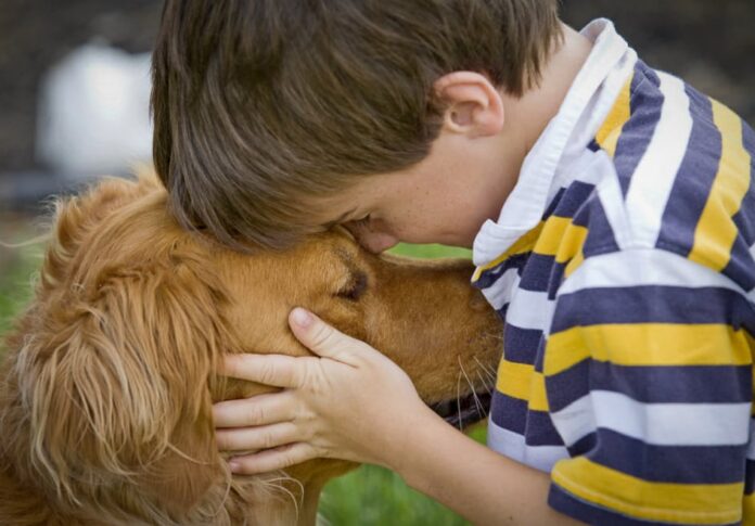 los-beneficios-del-vinculo-entre-ninos-y-mascotas