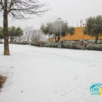 IMG_0684