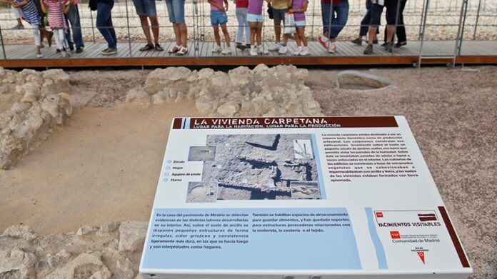 FiestaHuertoUrbano2011_0918024
