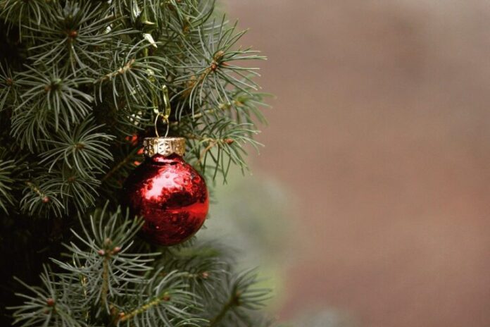 arbol-navidad-2020-768x512