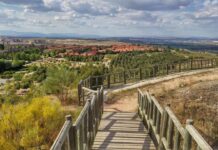 Bellotada o taller de velas y bálsamos naturales entre las actividades medioambientales para empezar el año