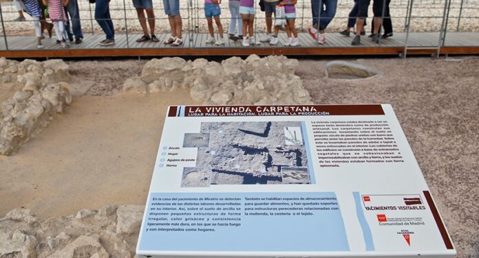 FiestaHuertoUrbano2011_0918024