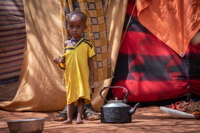 drought-response-somali-region-afdher-zone_52012665648_o
