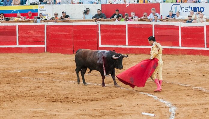 Corrida toros