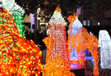 La Plaza de la Constitución se llenó para asistir al encendido de la iluminación navideña
