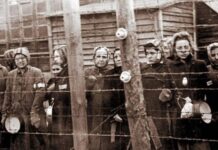 Mujeres singulares, en plural: Mujeres españolas en los campos nazis