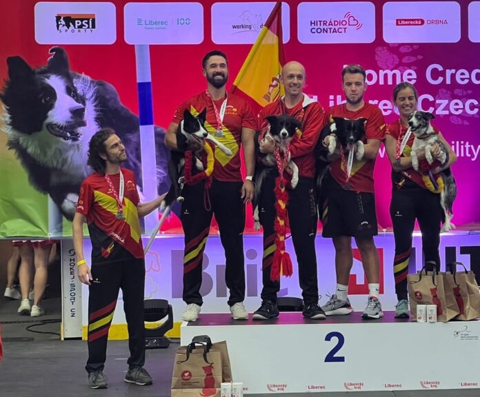 Agility campeonato mundo Liberec (1)