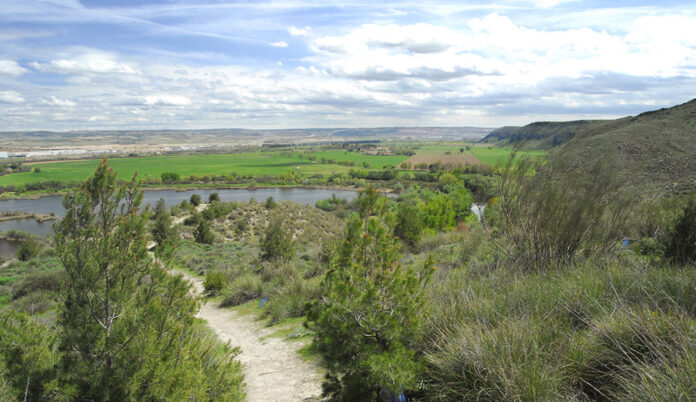 Ruta-El-Espartal