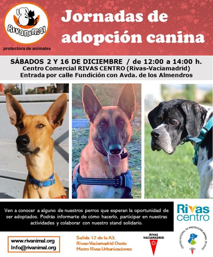 Evento canino Rivas Centro 2 y 16 diciembre 2023