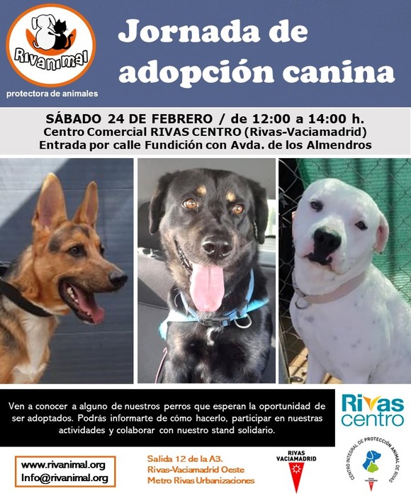 Evento canino Rivas Centro 24 febrero 2024