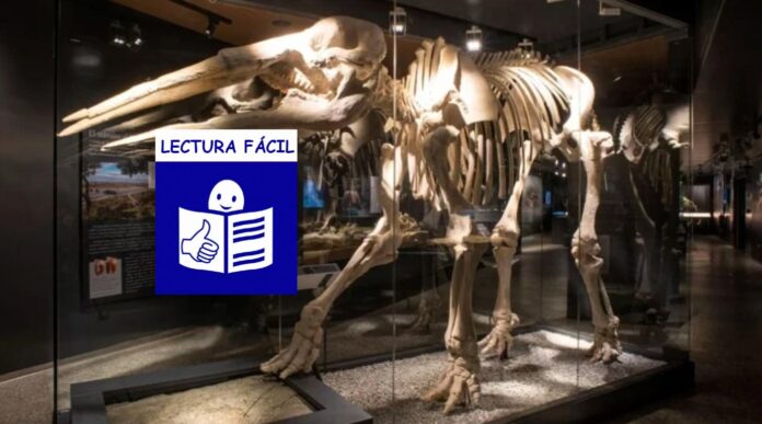 DinosaurioLF