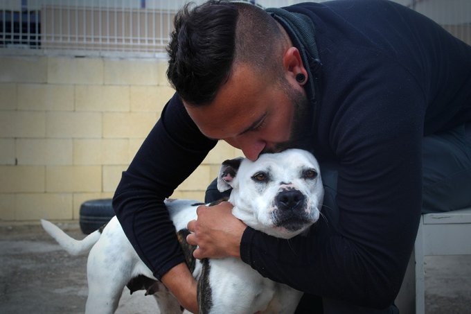 Dueño y perro
