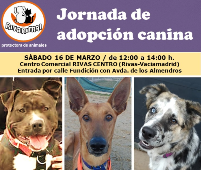 Evento canino Rivas Centro 16 marzo 2024 (2)