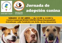 Rivanimal anuncia un nuevo evento de adopción animal
