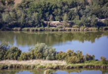 Rivas Vaciamadrid se suma al Día Mundial del Medio Ambiente