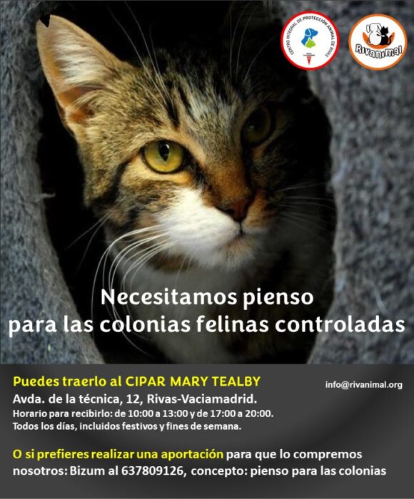 Cartel alimentacion colonias felinas