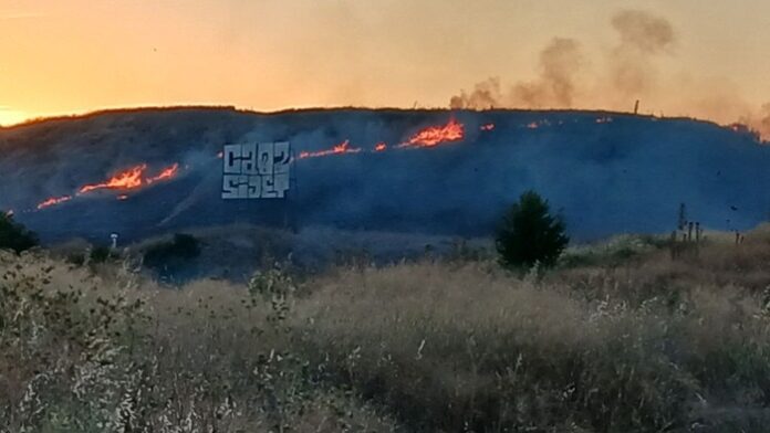 Incendio 12072024-1 (1)