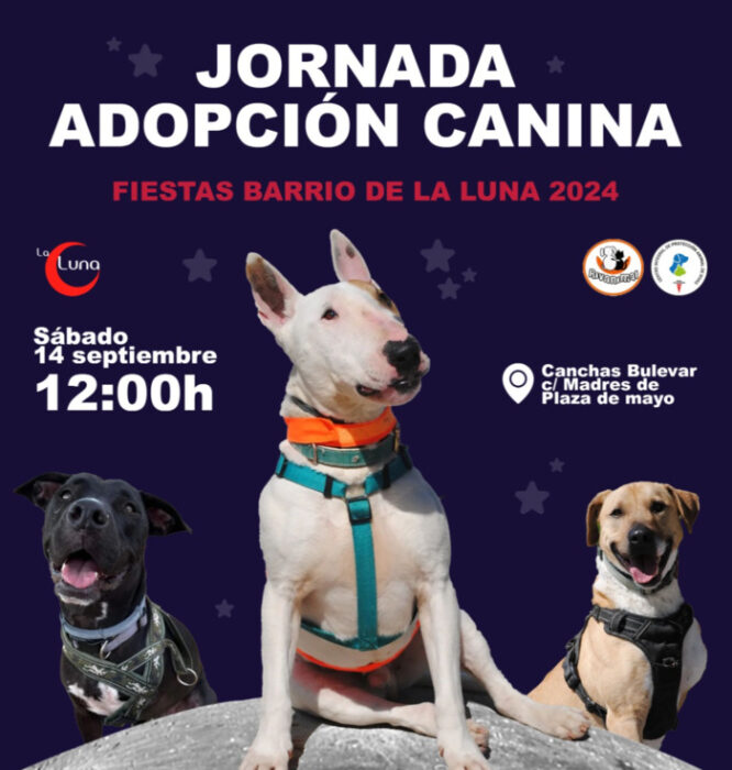 Evento Adopción Barrio Luna (2)