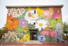 Los colegios El Parque y Dulce Chacón, ‘objetivo’ de las intervenciones artísticas del Concurso de Arte Urbano