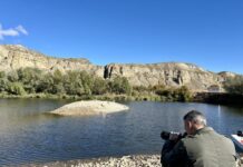 La Comunidad retira de la laguna de El Campillo más de 400 ejemplares de especies invasoras