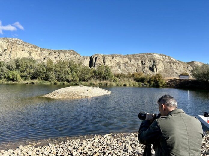 Carlos Novillo retirada especies invasoras Parque Regional Sureste