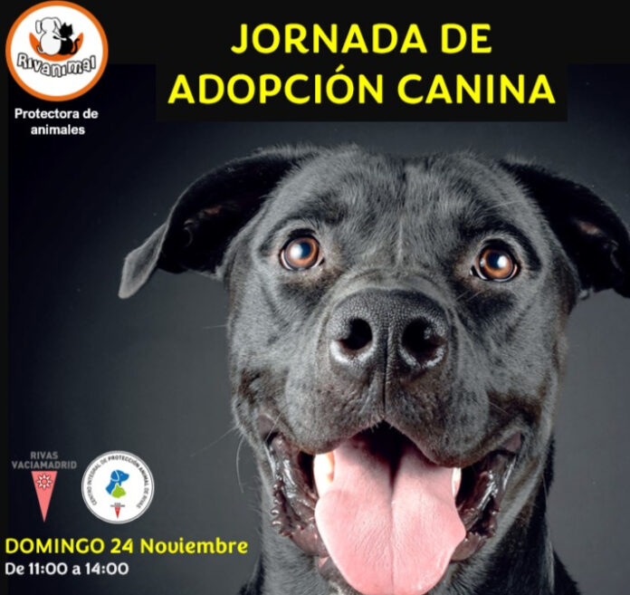 Jornada adopcion canina 24nov24 (1)