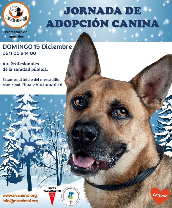 Evento canino 15dic24