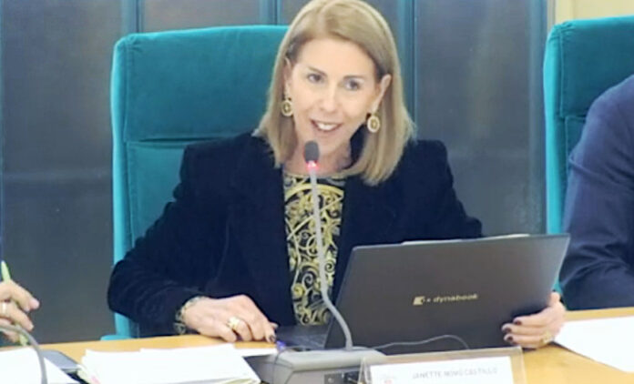 Janette Novo Pleno Presupuestos 2025