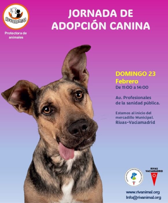 Evento canino 23feb25