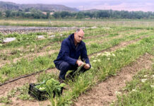 Las fuertes crecidas del río Jarama obligan al Ayuntamiento a constituir al Comité de Emergencias por el riesgo de inundaciones
