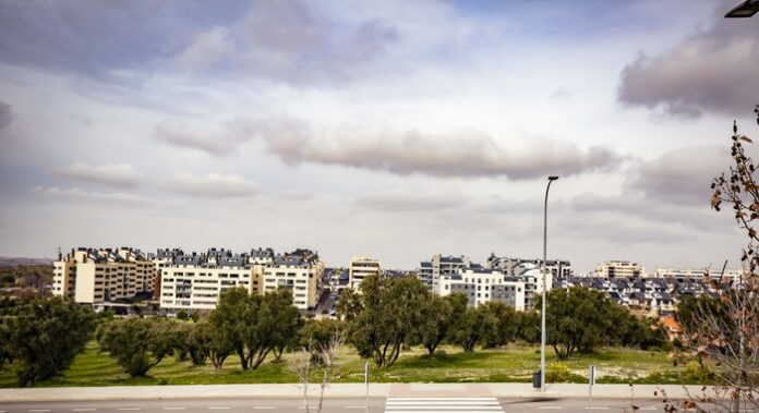 OLIVAR RENATURA RIVAS (1)