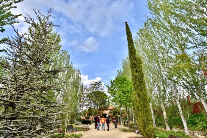 arboretum2