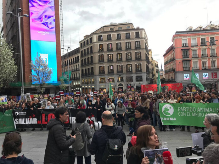 Foto PACMA (1)