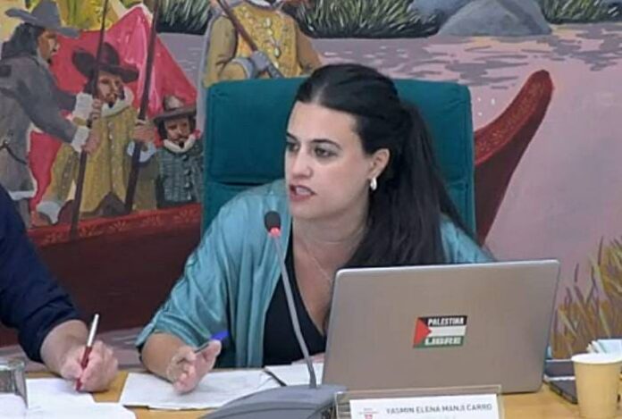 Pleno mayo 2025 - cesion viviendas