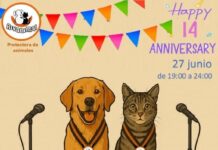 Rivanimal celebra su 14 aniversario con una fiesta con música y concurso de ‘perro y gato más majos’