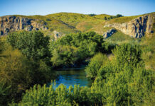 Excursiones y trabajo voluntario en la naturaleza los martes, jueves y viernes de julio