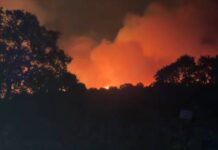 El PSOE pedirá en el Pleno un refuerzo de la protección del Parque Regional del Sureste para «evitar posibles incendios en el futuro»