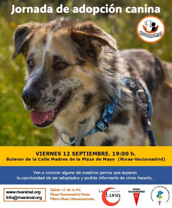 Evento canino LA LUNA 12 sep25