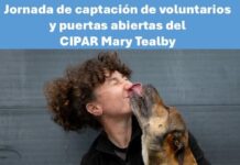 El CIPAR Mary Tealby hará este domingo una jornada de puertas abiertas para captar voluntariado