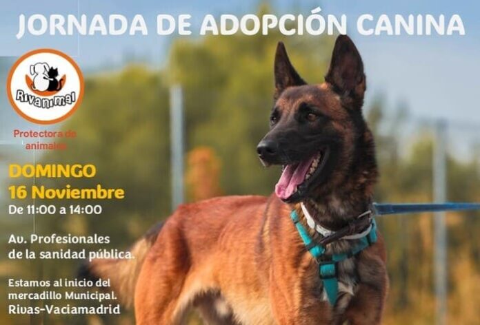 Evento canino 16nov25 (1)