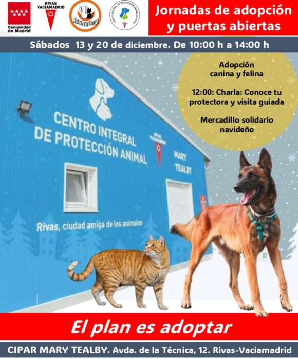 El Plan es adoptar