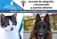 El CIPAR Mary Tealby ofrece el 17 de enero una jornada de puertas abiertas