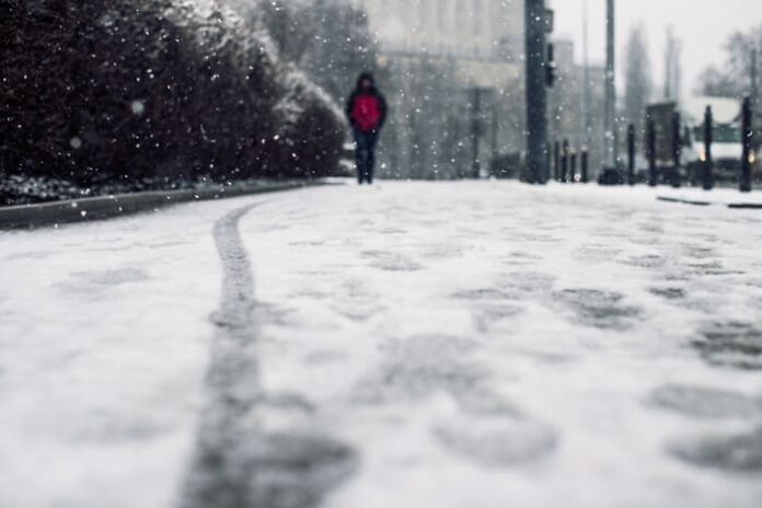 temporal nieve (1)