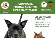 Rivanimal organiza una jornada de puertas abiertas en el CIPAR Mary Tealby