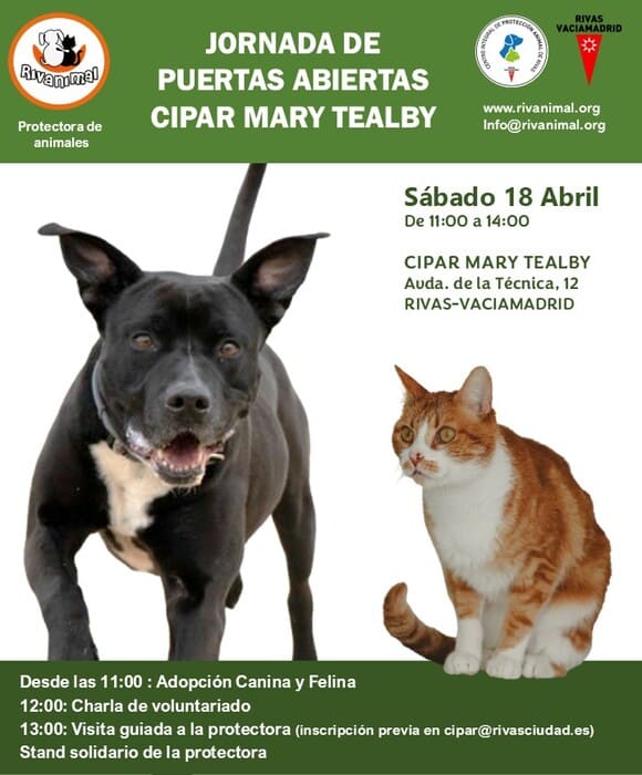 Jornada PA 18 abril 2026 (1)